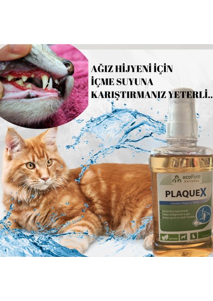 Ecopure PlaqueX Tartar Ve Plak Engelleyici