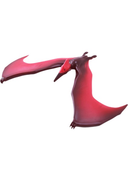 Kuş Çocuklar Bilimi Pterosaur Kı Kırmızı (Yurt Dışından)