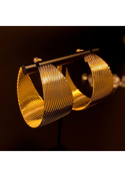 Mücevher Niche Kadın Küpeleri Tokalar Küpeler Aksesuarlar (Yurt Dışından)