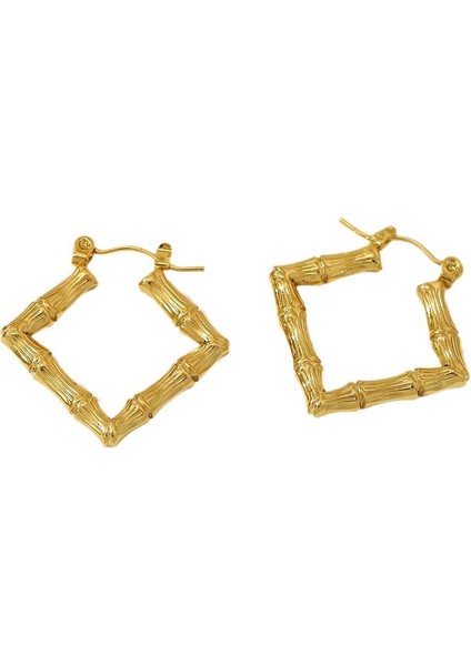 Mücevher Niche Kadın Küpeleri Tokalar Küpeler Aksesuarlar (Yurt Dışından)