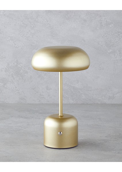 Blanca Dekoratif Aydınlatma 27 cm Gold