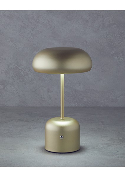 Blanca Dekoratif Aydınlatma 27 cm Gold fiyatları