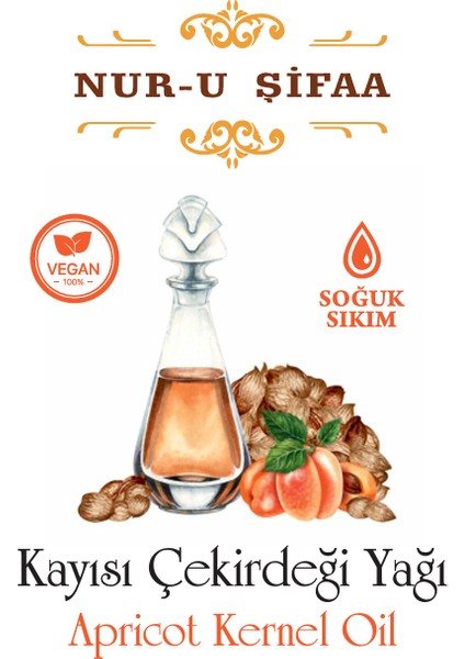 Nur- u Şifaa Kayısı Çekirdeği Yağı 50ML fiyatları