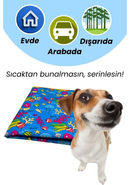 Serinletici Köpek Minderi 70×50 CM - 2 Jel Dahil Su Geçirmez ve Katlanabilir Kumaş