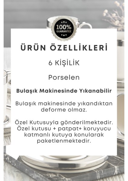 Gümüş Yaldızlı 6 Kişilik Porselen Fincan Seti 12 Parça Türk Kahvesi Takımı Kahve Fincanı 100 ml fırsatları