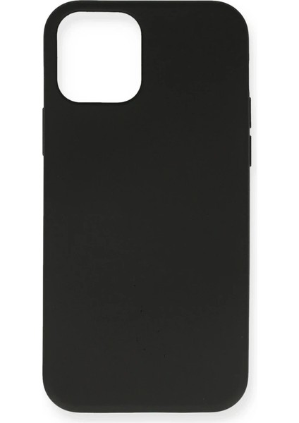 iPhone 12 Kılıf Nano Içi Kadife Silikon- Siyah
