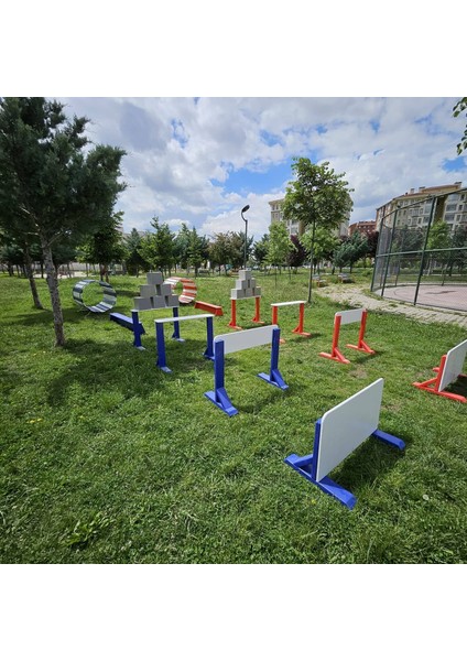 Engel Üstü Geçiş modelleri