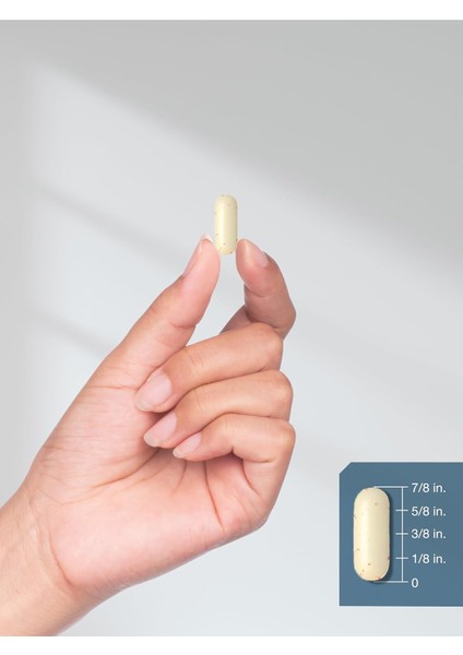 Amino Acid Complex 3000 mg 250 Caplet modelleri