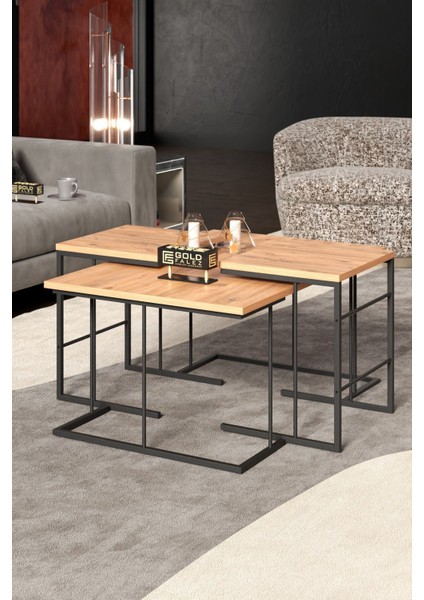 BERRİN ALPASLAN Orta Sehpa ve Zigon Sehpa Seti Modern Tasarım Atlantik Çam 4 Parça