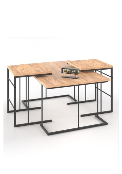 BERRİN ALPASLAN Orta Sehpa ve Zigon Sehpa Seti Modern Tasarım Atlantik Çam 4 Parça indirimleri