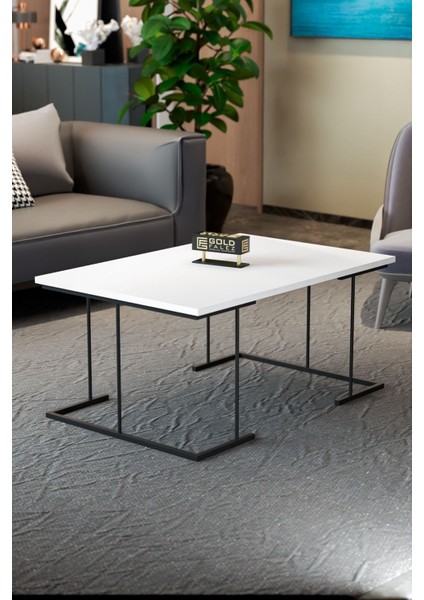 Orta Sehpa ve Zigon Sehpa Solo Set Beyaz fiyatları