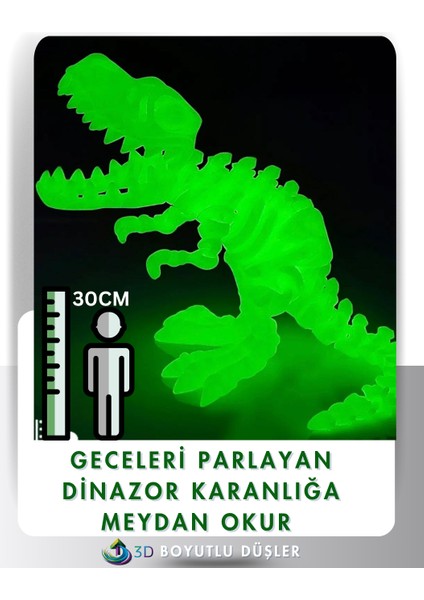 Karanlıkta Parlayan T-Rex Dinazor Iskelet Tüm Eklemleri Hareketli Hayvan Figür Oyuncak 30 cm