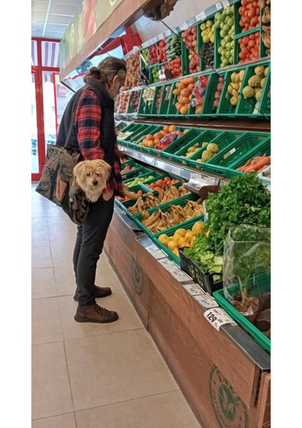 Köpek Taşıma Çantası