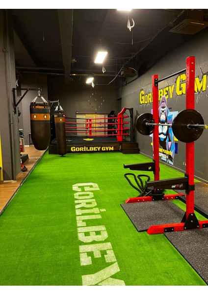 Squat Bench Pullup Rack fiyatları
