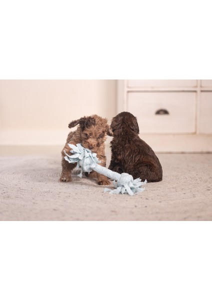 Beeztees Yavru Köpek Oyuncağı, Çift Düğümlü Diş Ipi, Peluş, Mavi, 20X6X4,5CM modelleri