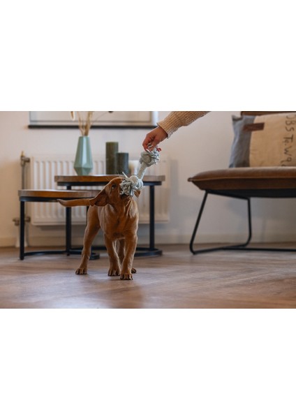 Beeztees Yavru Köpek Oyuncağı, Çift Düğümlü Diş Ipi, Peluş, Mavi, 20X6X4,5CM indirimleri