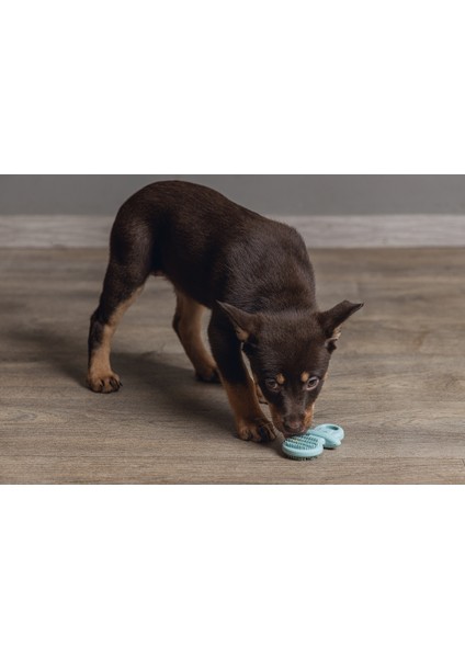 Beeztees Yavru Köpek Oyuncağı, Diş Kaşıma, Kauçuk, Yeşil, 9,5X5,5X2CM fırsatları