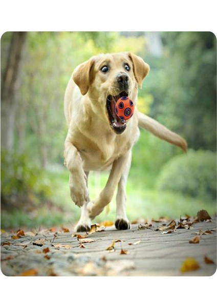Xixishop Köpek Topu Etkileşimli Oyuncak Turuncu Mor (Yurt Dışından)