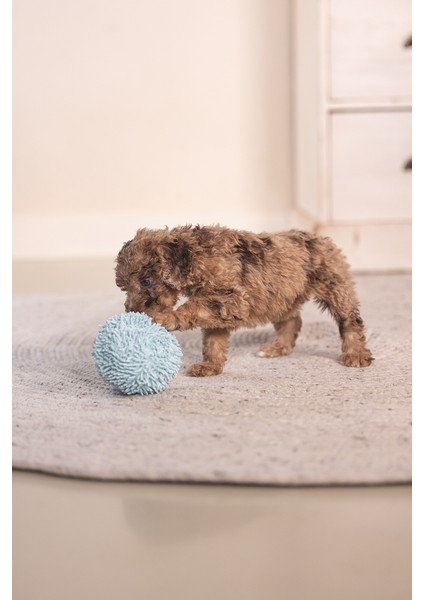 Beeztees Yavru Köpek Oyuncağı, Top, Peluş, Mavi, 10CM fiyatları
