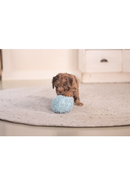 Beeztees Yavru Köpek Oyuncağı, Top, Peluş, Mavi, 10CM modelleri