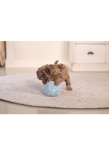 Beeztees Yavru Köpek Oyuncağı, Top, Peluş, Mavi, 10CM fırsatları