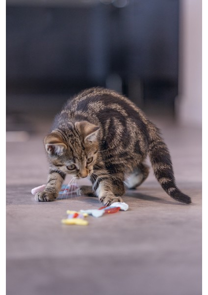 Beeztees Yavru Kedi Oyuncağı, Esnek Balık, 3 Adet, 3,5x8,5cm
