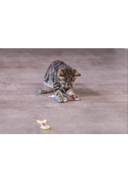 Beeztees Yavru Kedi Oyuncağı, Esnek Balık, 3 Adet, 3,5x8,5cm