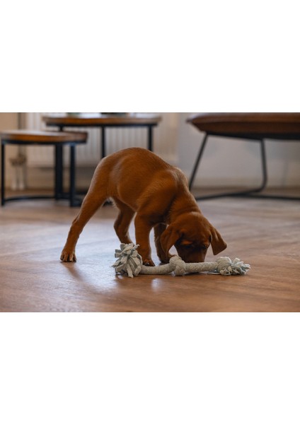 Beeztees Yavru Köpek Oyuncağı, Çift Düğümlü Diş Ipi, Peluş, Mavi, 30X6X4,5CM fiyatları