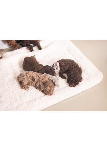 Beeztees Yavru Köpek Oyuncağı, Peluş, Gri, 37X28X4CM modelleri