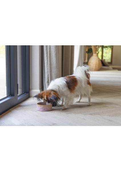 Beeztees Dbl Köpek Mama Su Kabı, Seramik, Pembe, 13,5cm, 500ML fiyatları