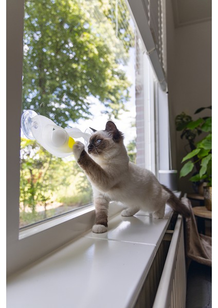 Beeztees Yavru Kedi Oyuncağı, Cama Tutturulabilir, 52X4X9CM fiyatları