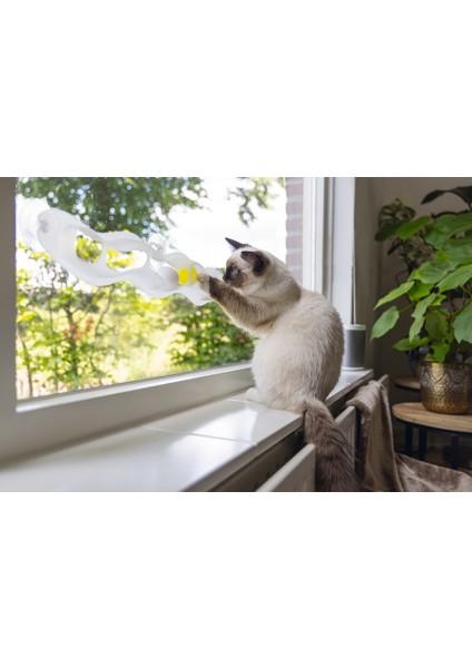 Beeztees Yavru Kedi Oyuncağı, Cama Tutturulabilir, 52X4X9CM modelleri