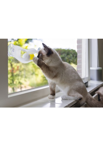 Beeztees Yavru Kedi Oyuncağı, Cama Tutturulabilir, 52X4X9CM fırsatları