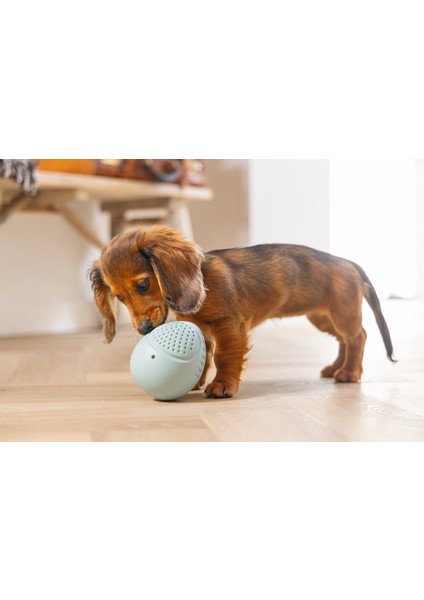 Beeztees Yavru Köpek Oyuncağı, Ödül ve Oyun, Yumurta, Kauçuk, Turkuaz, 6X6X8CM fiyatları