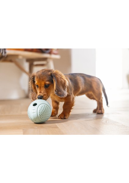 Beeztees Yavru Köpek Oyuncağı, Ödül ve Oyun, Yumurta, Kauçuk, Turkuaz, 6X6X8CM modelleri