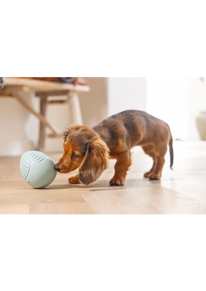 Beeztees Yavru Köpek Oyuncağı, Ödül ve Oyun, Yumurta, Kauçuk, Turkuaz, 6X6X8CM fırsatları