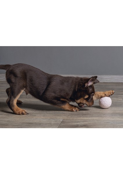 Beeztees Yavru Köpek Oyuncağı, Top, Kauçuk, Pembe, 6cm fiyatları