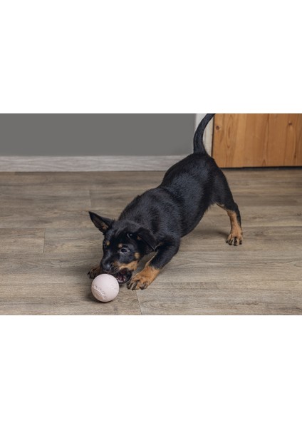 Beeztees Yavru Köpek Oyuncağı, Top, Kauçuk, Pembe, 6cm modelleri