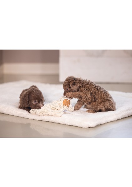 Beeztees Yavru Köpek Oyuncağı, Peluş, Beyaz, 37X28X4CM modelleri