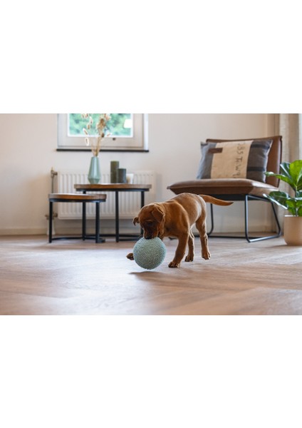 Beeztees Yavru Köpek Oyuncağı, Top, Peluş, Mavi, 14CM fiyatları