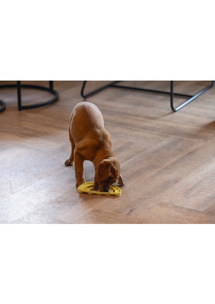 Beeztees Yavru Köpek Mama Yeme Oyuncağı, Yarım Daire, Silikon, Sarı, 20X10CM fiyatları