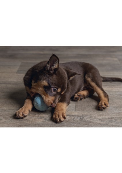 Beeztees Yavru Köpek Oyuncağı, Top, Kauçuk, Yeşil, 6cm modelleri