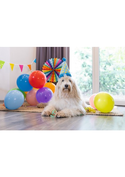 Beeztees Köpek Oyuncağı, Parti Balonu, Peluş, Mavi, 39X13X7,5CM fiyatları