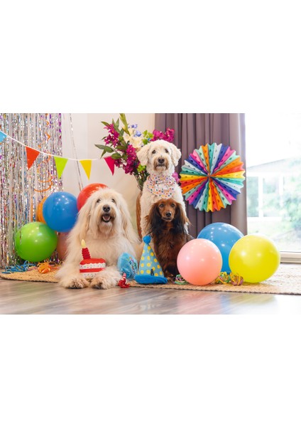 Beeztees Köpek Oyuncağı, Parti Balonu, Peluş, Mavi, 39X13X7,5CM modelleri