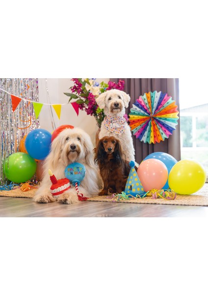 Beeztees Köpek Oyuncağı, Parti Balonu, Peluş, Mavi, 39X13X7,5CM fırsatları