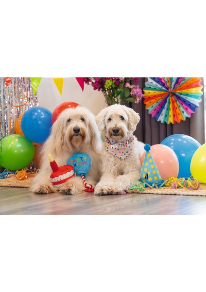 Beeztees Köpek Oyuncağı, Parti Balonu, Peluş, Mavi, 39X13X7,5CM indirimleri