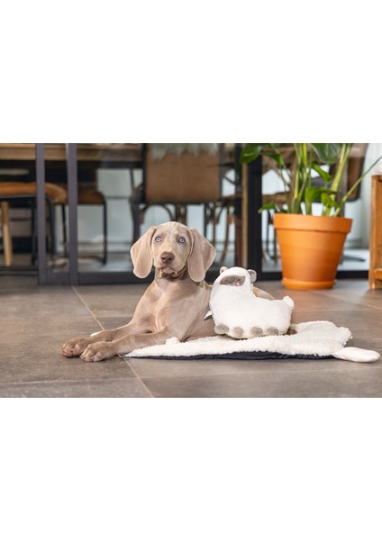 Beeztees Yavru Köpek Oyuncağı, Kalp Atışlı, Lama, Peluş, Beyaz, 26X20X7,5CM fırsatları