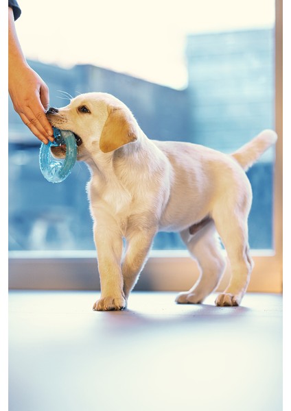 Beeztees Yavru Köpek Oyuncağı, Diş Kaşıma Için Soğutulabilir, Tpr, Mavi, 10X10X2,3CM modelleri