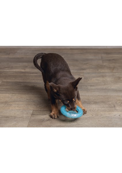 Beeztees Yavru Köpek Oyuncağı, Diş Kaşıma Için Soğutulabilir, Tpr, Mavi, 10X10X2,3CM indirimleri