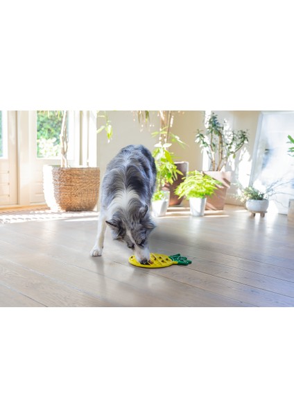 Beeztees Yavru Köpek Yaş Mama Yeme Oyuncağı, Ananas Şeklinde,silikon, Sarı, 20X20CM indirimleri